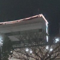 のき@取引垢 (@nok1_tr) 's Twitter Profile
