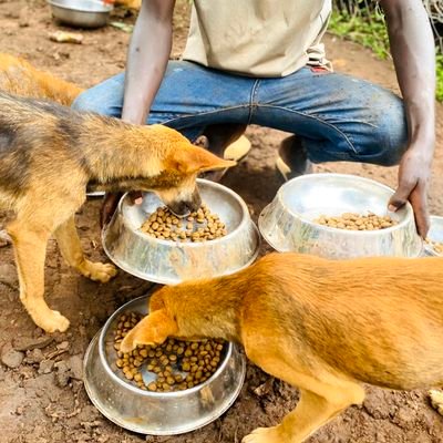 lovedogsrescuce's profile picture. RESCUING DOGS & AND AIDING UGANDAN LOCALS.(JOIN US TO SAVE LIVES)!
EMPOWER OUR MISSION BY DONATING TO OUR LINK BELOW 🐶🙏