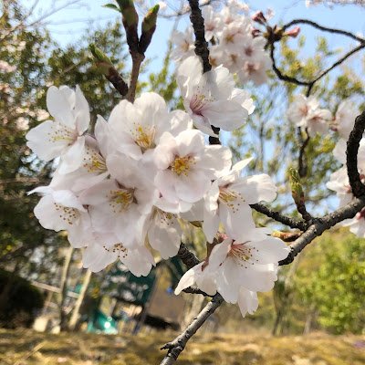 InIuI_IN's profile picture. ゲームとAIが大好きです
SNSってなんでしょうか・・・？