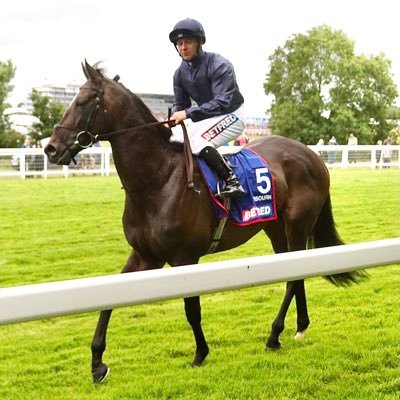 Female amateur Flat racing historian,collect items associated with THE Derby.Photograph horses.Elite racing! Real ghost stories. Work in horticulture.Cats,birds