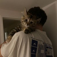 ricker (@rea8th) 's Twitter Profile
