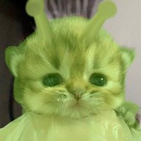 riyow (@sanriyoww) 's Twitter Profile