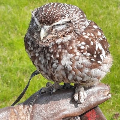 Anti Tory.Amateur gardener. Adore wildlife and nature.