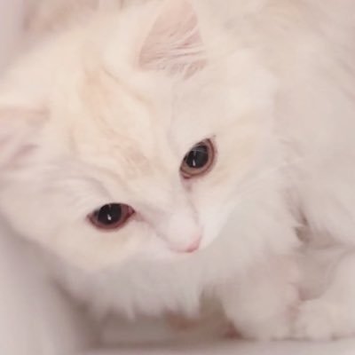 00_00M_00's profile picture. 