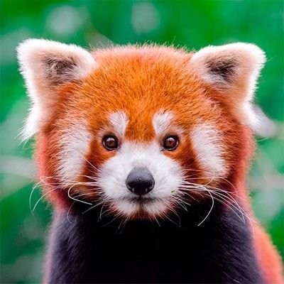 ArtosPortos07's profile picture. Meraklı biri. 
Един турчин от Балканите.
The enthusiastic self-taught sysadmin and developer.
Человек, который любит узнавать новое.