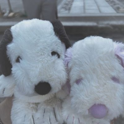 cozysonu's profile picture. your life is your art.