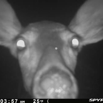 KYsafety's profile picture. 