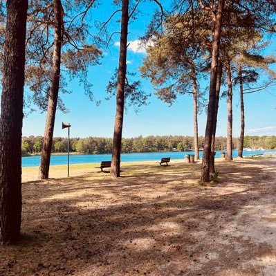 Simvestor0808's profile picture. 