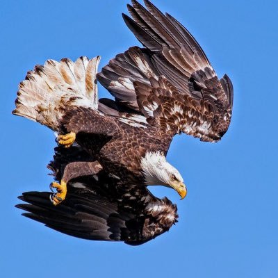 laylgogo5's profile picture. 