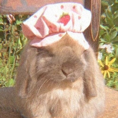 Alumy/noeさんのプロフィール画像