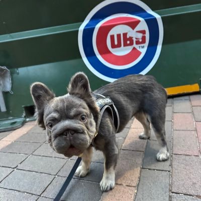 doitbigchicago Profile
