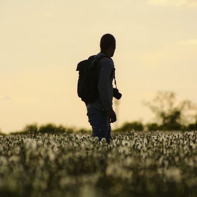 MarcSteikert's profile picture. 