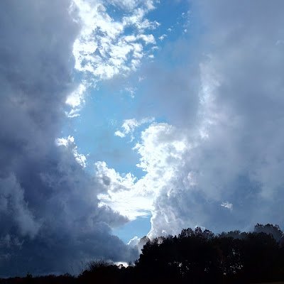 DanielW08324204's profile picture. 