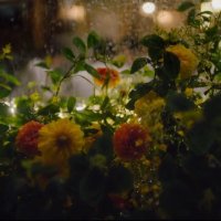 yell_o_flwrs (@yellow_fleurs) 's Twitter Profile