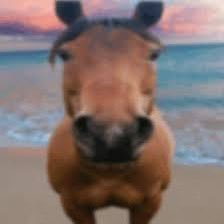 gxblin__'s profile picture. certified girl failure stuck in the closet. 🔞