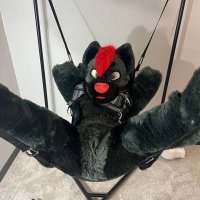 Loki 🔜 FD, MP, MFF (@lokithehyenaad) 's Twitter Profile