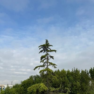 alehuang888's profile picture. .