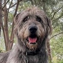 fatscally's profile picture. 