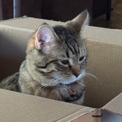 SpaceGirLuna's profile picture. very tired and very gay trans girl || 🥬 🍅 || ADHD || Autistic || hobbies: complimenting trans women