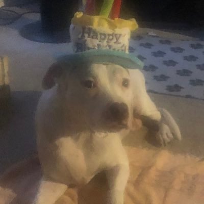 🚫NO🚫DMs 👊🏽BLM💪🏽🙏🏽❤️🐾 🐕AnimalAdvocate🐶💕LookB4YouHit,NOFilter😬LEAVEWildlifeALONE 🐘🦒 Living💙InARacist🟥St🦠😷TrollsBlocked💯
