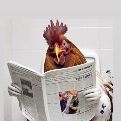 mercershannon77's profile picture. 