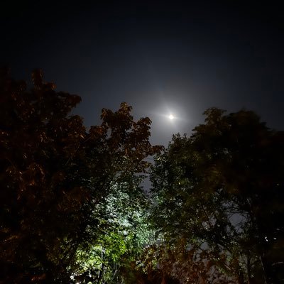 Humaira_Bat00l's profile picture. Long live Pakistan 🇵🇰