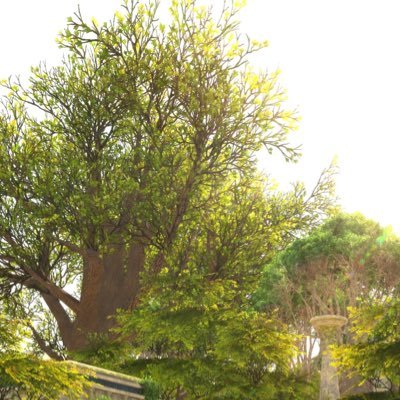 Zeefabee's profile picture. FaB専用アカ ※2025年6月からの初心者🔰 TCG自体初めてやる希少種 #FaB