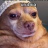 marianaidn's profile picture. 