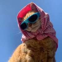 Sude (@sude_blt1106) Twitter profile photo