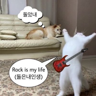 nbc084's profile picture. 락페 다니려고 전국구로 다니는 회사 노비1/요즘은 솔루션스가 좋음😍