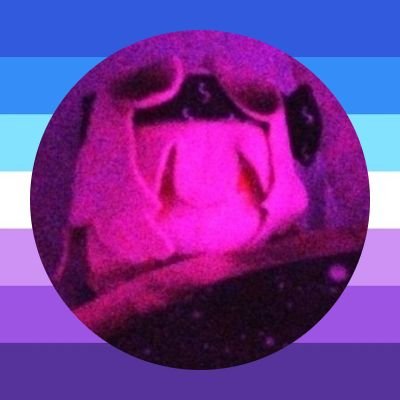 @dance_white_boy priv that i secretly use more than main //🍂autism🍂// unsolicited 2 cents // play arknights // 🏳️⚧️
