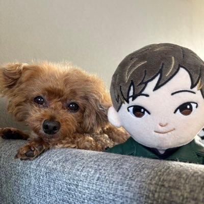 jjyuko316's profile picture. 愛犬ちぃちゃんはユノを好きすぎて歌を聴くとうっとり女子になるよ❤️クッキングレッスンやっています❤️料理研究家❤️韓国餅ケーキアンデコマイスター❤️麹マイスター❤️推し活東方神起❤️ビギスト❤️グルメ好き❤️ワイン好き❤️旅行❤️可愛い孫2人