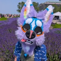 sherbert (@sherbertthefox) 's Twitter Profile Photo sherbert (@sherbertthefox) 's Twitter Profile Photo