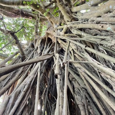 yozakuraR5Ux7's profile picture. 学習障害、読み書き苦手な21歳。 最近の推しはドズル社箱推し寄りの🍆、🐷 。3代特撮ヒーロー、アニメ、ゲーム色々 好きです、よろしくお願いします。