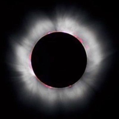 pool_042's profile picture. 👉 Follow The Team Leading To The New Era. GESARA 
⚠️The Q Final Reveal Has Begun ⚠️