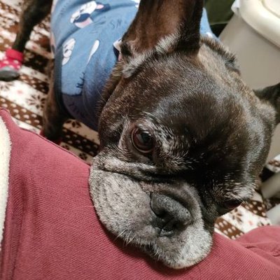 くまちゃ(´(ｪ)｀) (@kumasan2323) / Posts / X