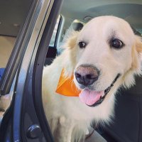 MV Graves (@jedionggc) 's Twitter Profile