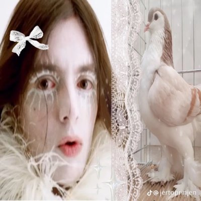 bellinislawyer's profile picture. Multifandom! i really like the adventures of Sherlock Holmes and ace attorney #conclavepilled and ninahpilled and tshdpilled rn
Esp/Eng/Cat/Fr ok!