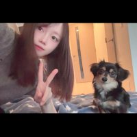 みすず (@0misuzu3) 's Twitter Profile