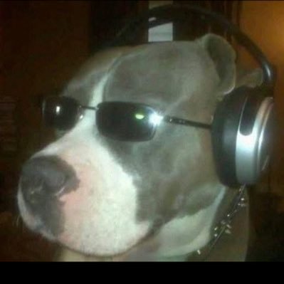I like boomer shooters and subway and PlayStation (minor) and variety of random shit