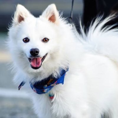 bett41053's profile picture. 