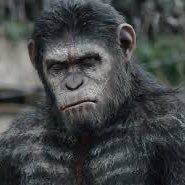 PadreMonks's profile picture. Apes together strong.
