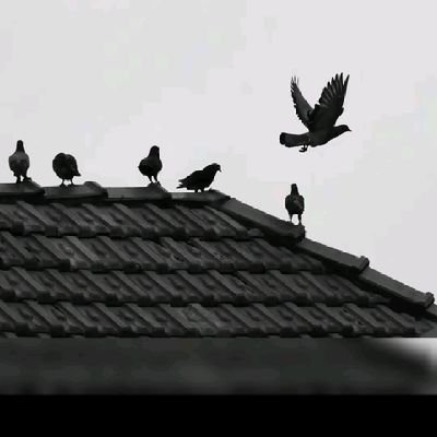 bashdar3232's profile picture. 