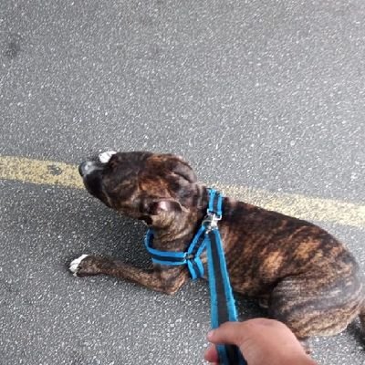 Topgrats's profile picture. 