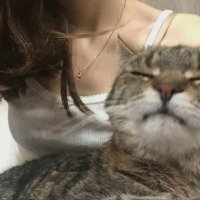 n (@squzrt) 's Twitter Profile