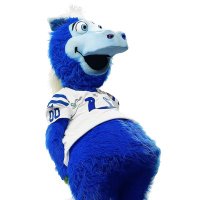 IndianapolisCol(ets (@drixjohnsonbrnr) 's Twitter Profile Photo IndianapolisCol(ets (@drixjohnsonbrnr) 's Twitter Profile Photo