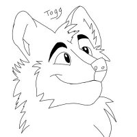 Togg (@_togg_) 's Twitter Profile