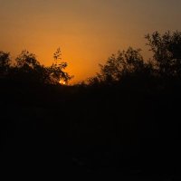 🌺 (@1nxzii) 's Twitter Profile