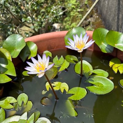 jiinfeng3d's profile picture. 