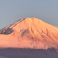 ありがとう (@machan2761) 's Twitter Profile